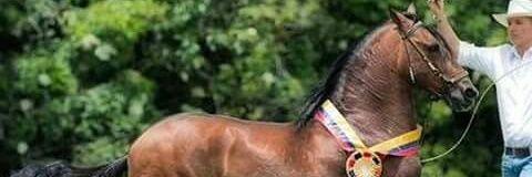 EDWAR CIFUENTES banner