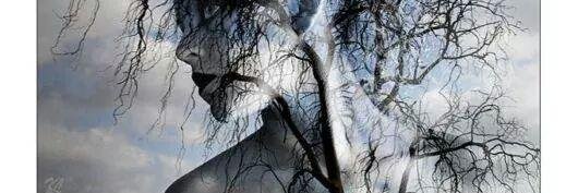 Neivadark's profile banner image