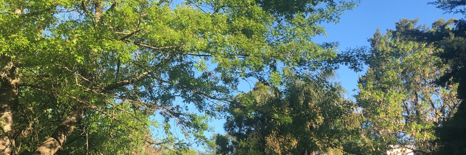 Martin Romero banner