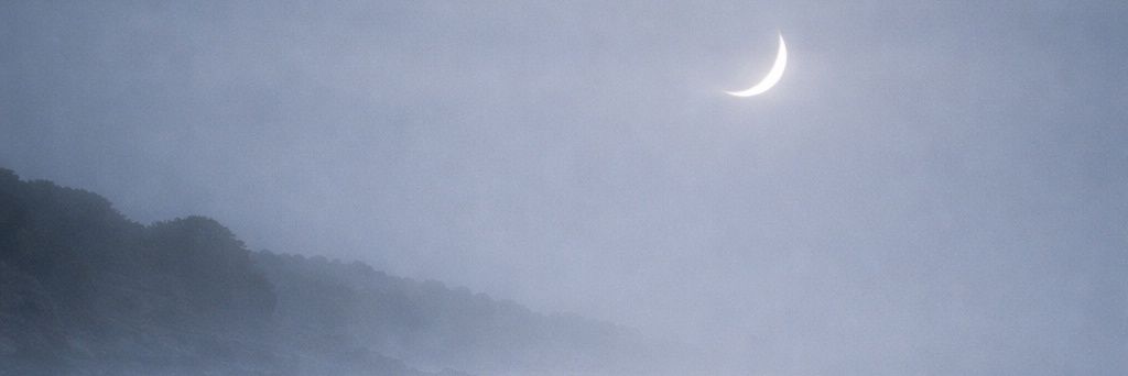evrensanli's profile banner image