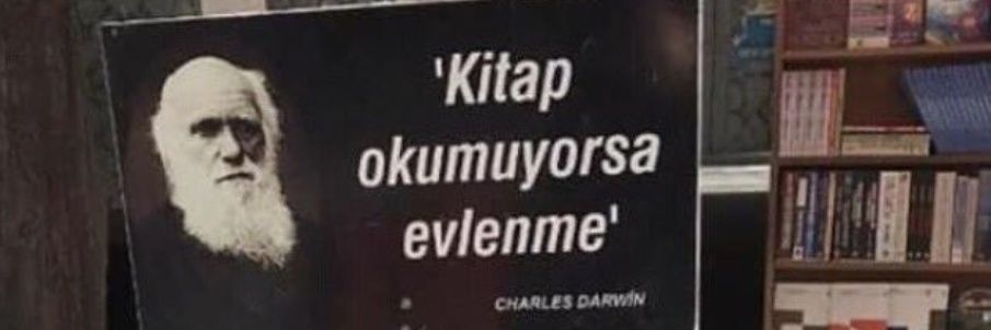 geran_elif's profile banner image