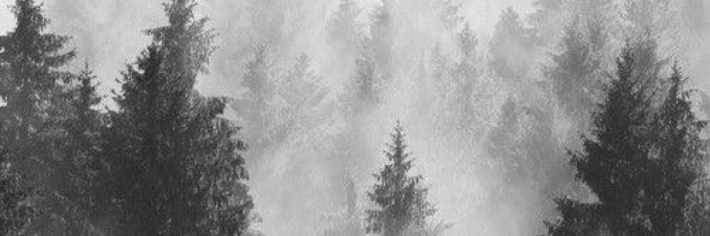 rafacuellarg's profile banner image