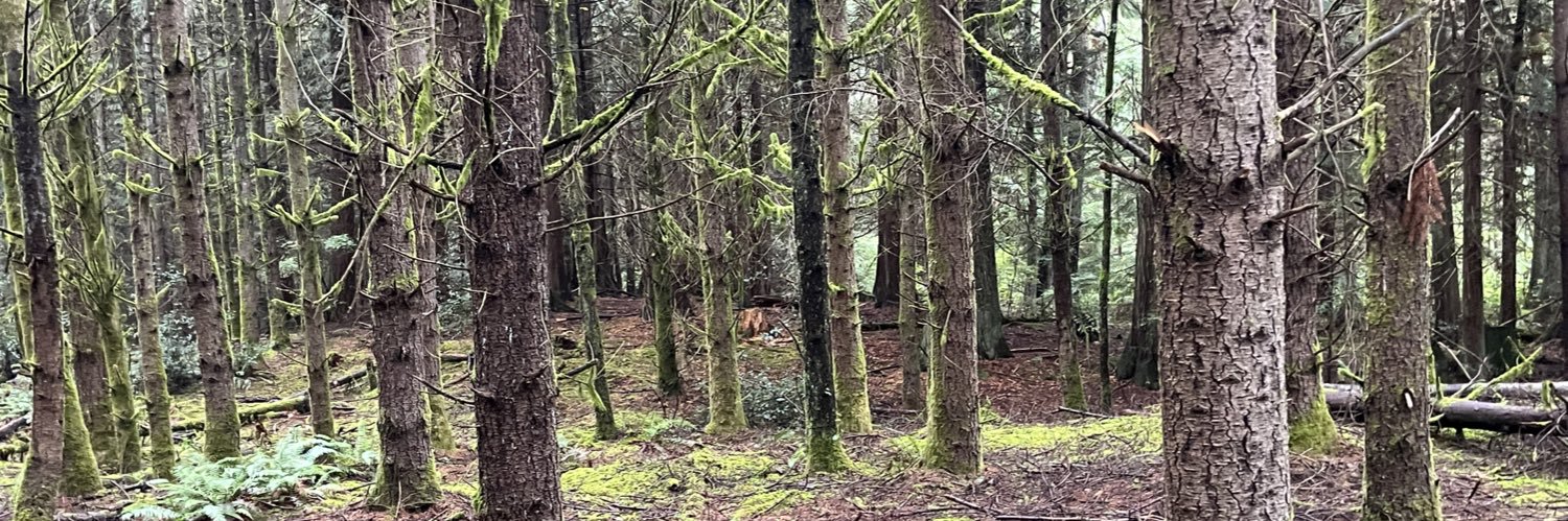 PNWTruffle's profile banner image