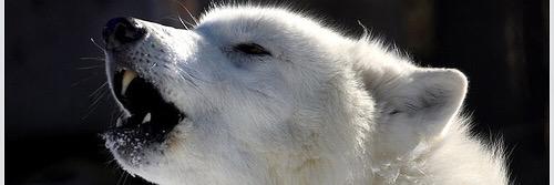 Jeremy_corbin22's profile banner image