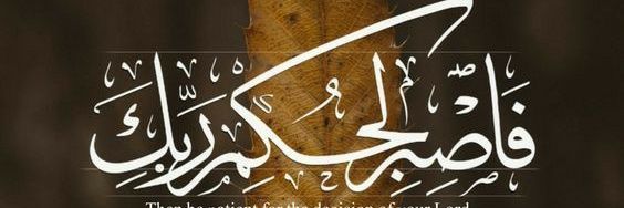 noraanmed's profile banner image
