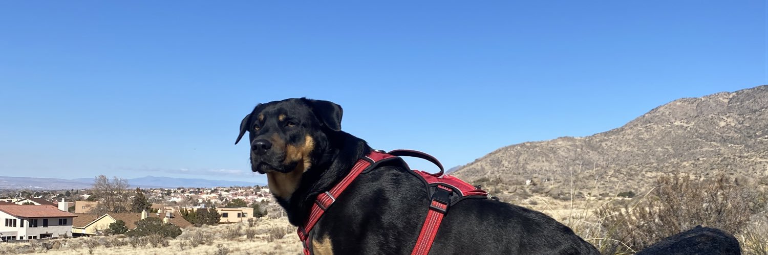 Anffwilson11's profile banner image