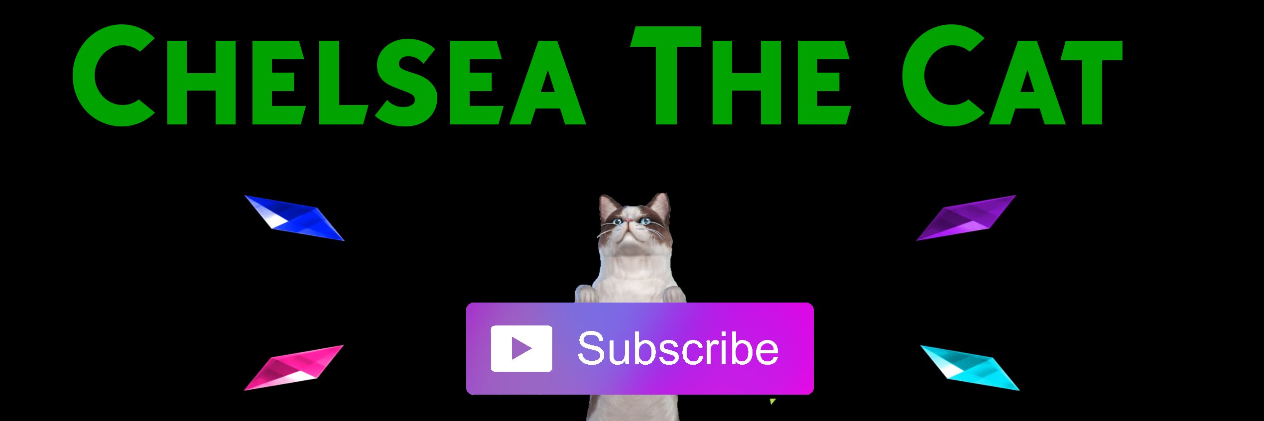 chealsycat's profile banner image