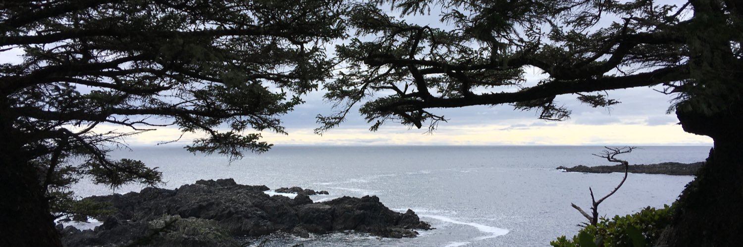 rosegthomas's profile banner image