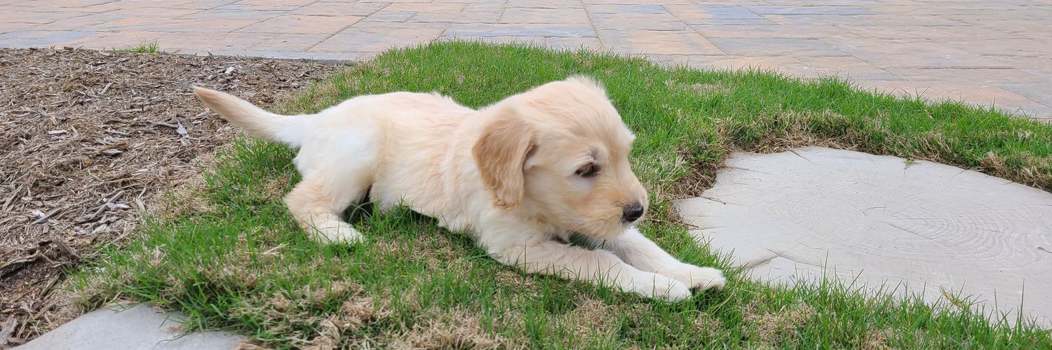 Valrie Horton banner