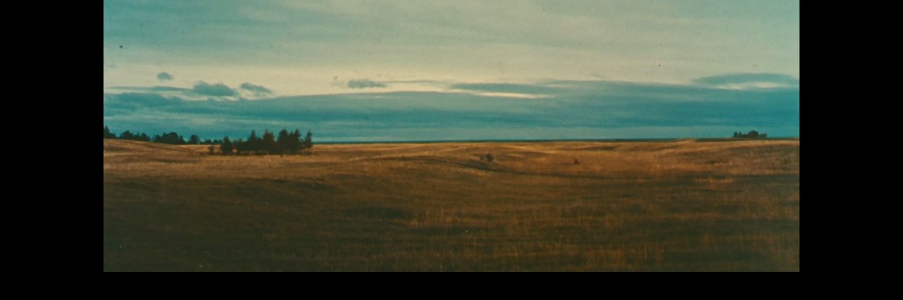MorroAmbiguo's profile banner image