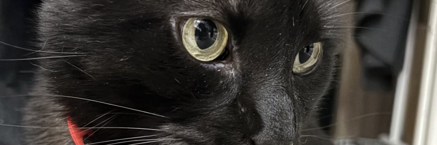 leahonlyy's profile banner image