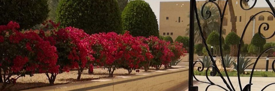 mohammedkhamali's profile banner image