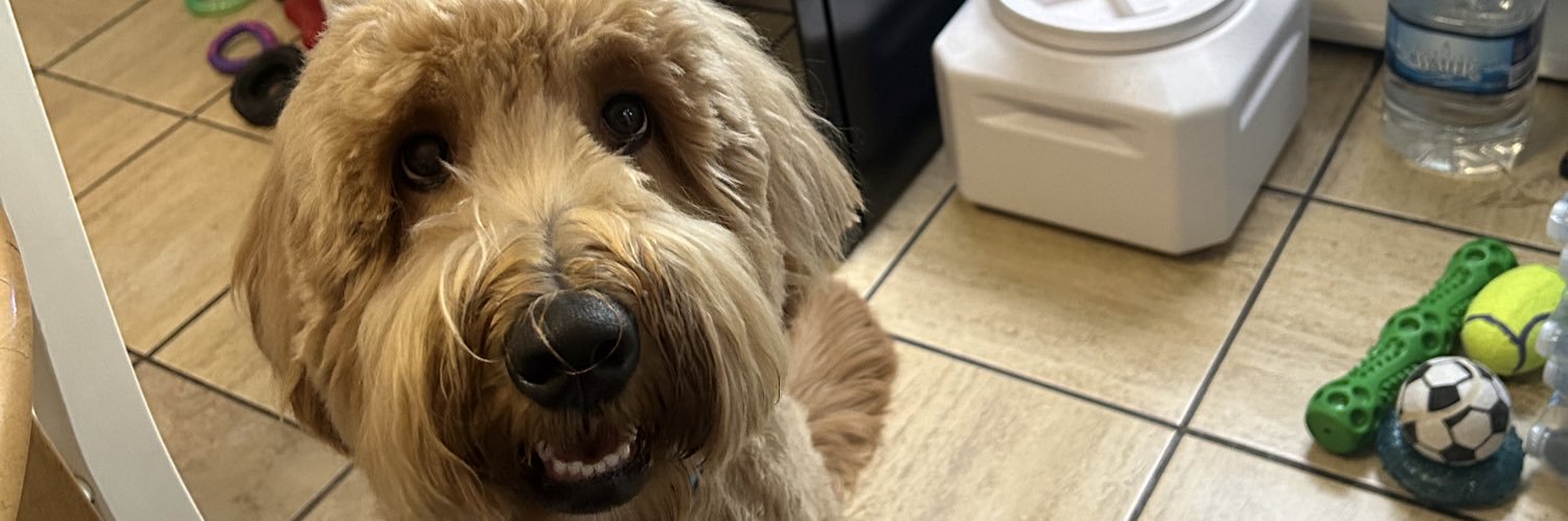 soph solo 🥵 banner