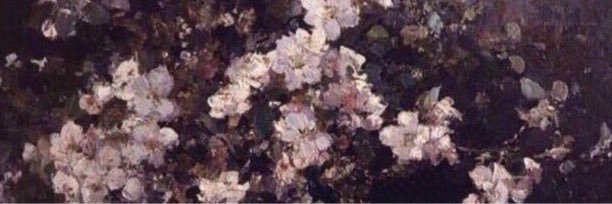 andrewscare's profile banner image