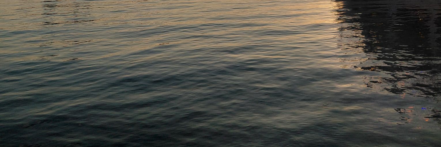 fondbizzle's profile banner image