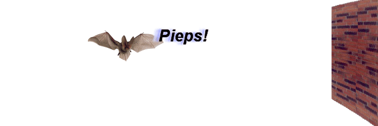 GIFsofWikipedia's profile banner image