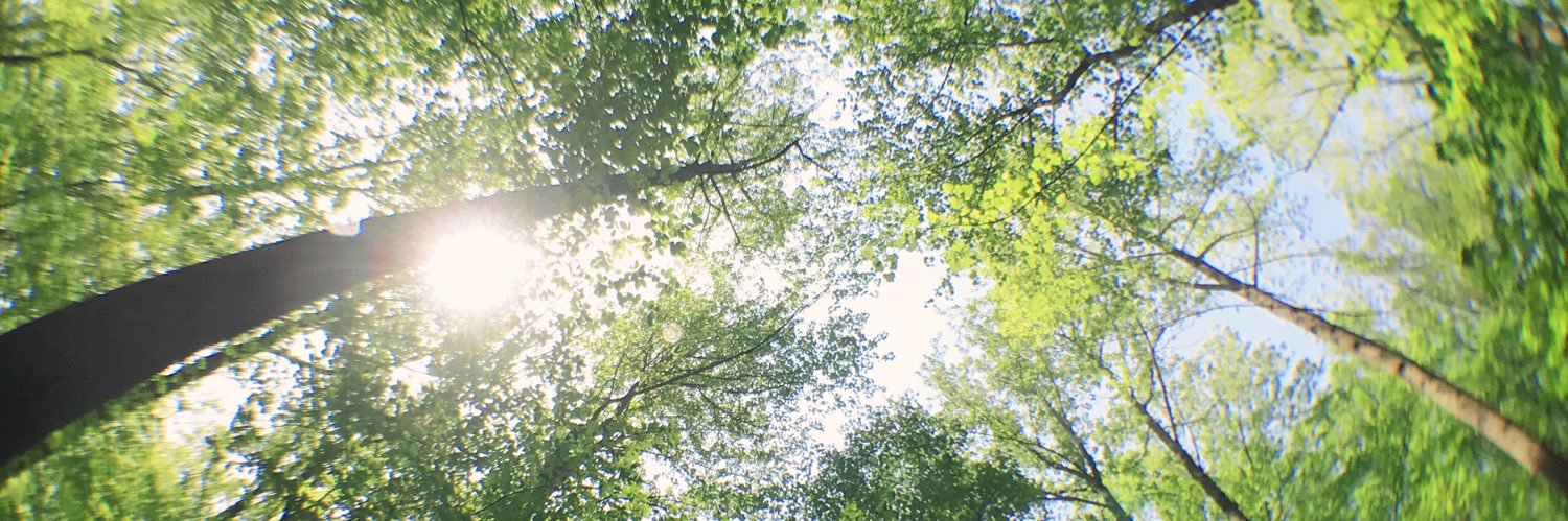 audrey_chesser's profile banner image