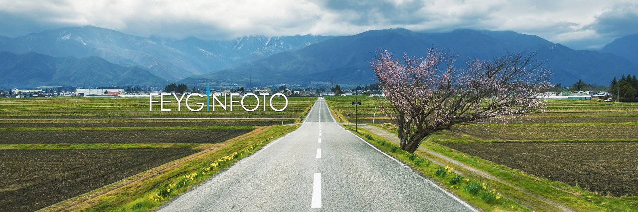 FeyginFoto's profile banner image