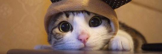 milarestrepo1's profile banner image