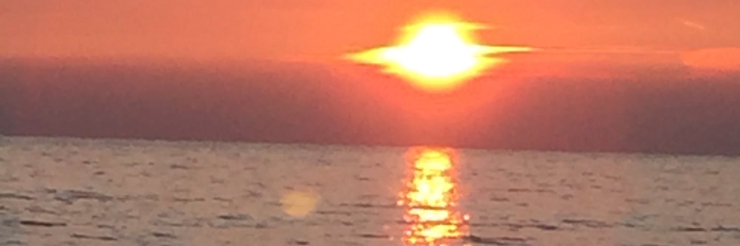 MrsWosik's profile banner image