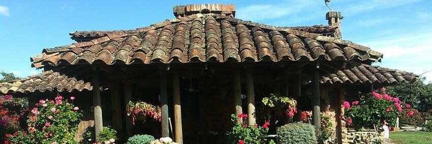 arango0986's profile banner image
