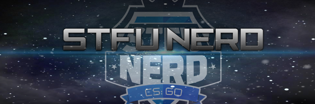 StfuNerdGaming's profile banner image
