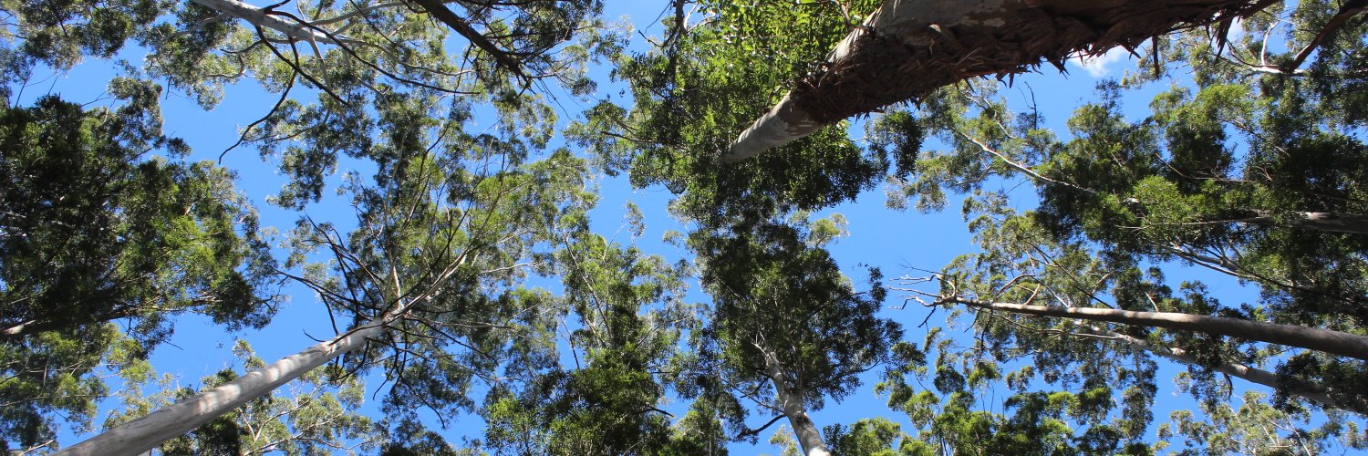 Environmentza banner