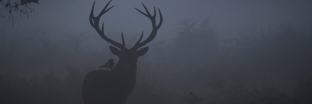 JesseKW's profile banner image