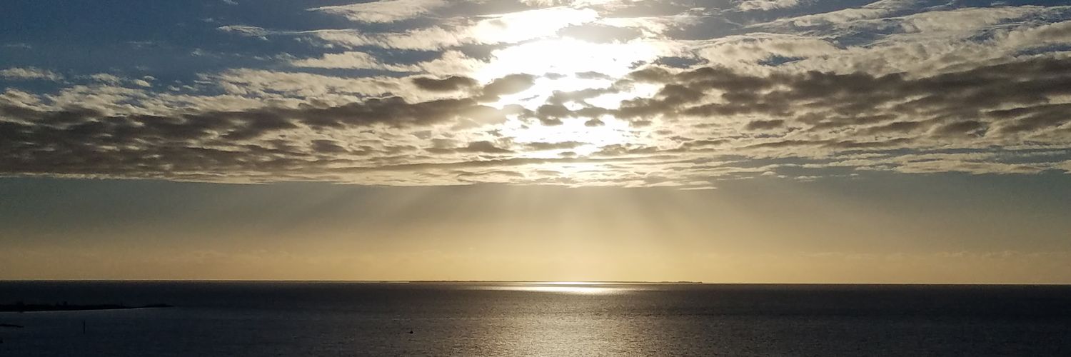 VBCoachWebster's profile banner image