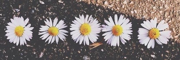 ThayBrunna_'s profile banner image