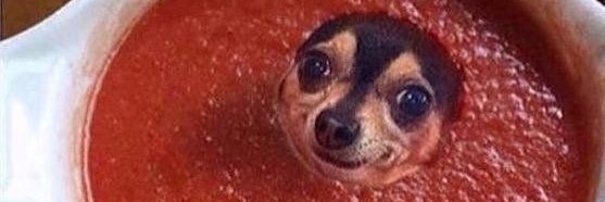 DiddySauce's profile banner image