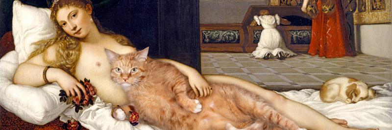 Þorbjörg Þorvaldsdóttir banner