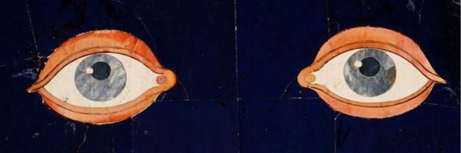 ShelbKnopf's profile banner image