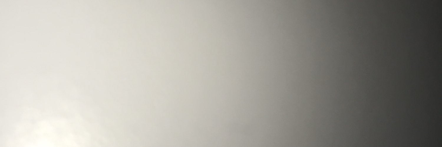 Jillian_Carey's profile banner image