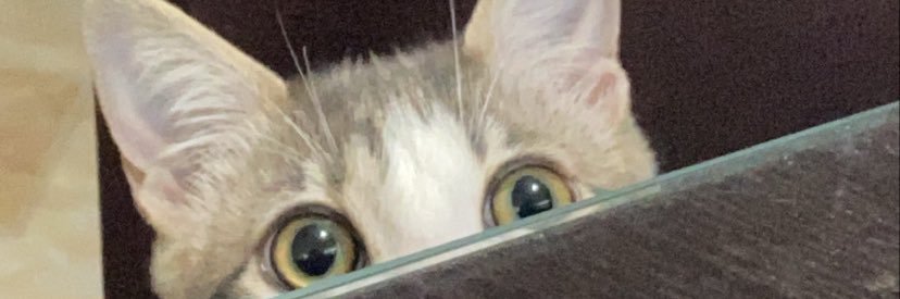brendarh99's profile banner image