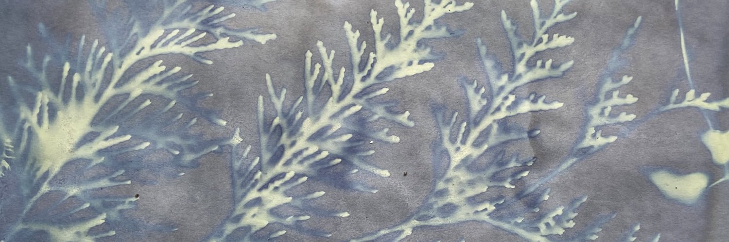Tintihnus banner