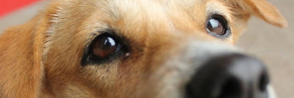 Vero Maria 👩‍🏫 👩‍🔬 💉🩺🔬🧪🧫⚗️ banner