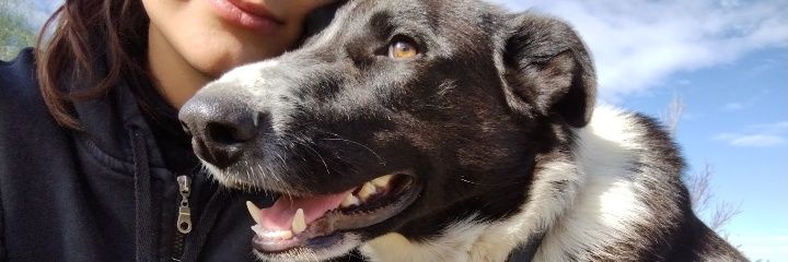 agusmoreno0's profile banner image