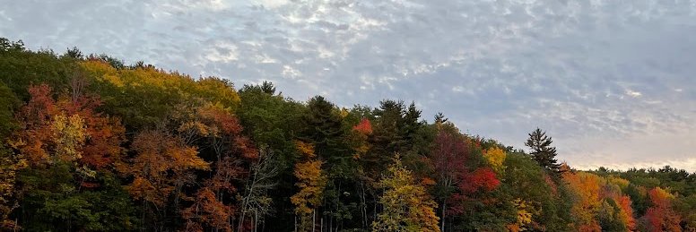 Alexis Garretson banner