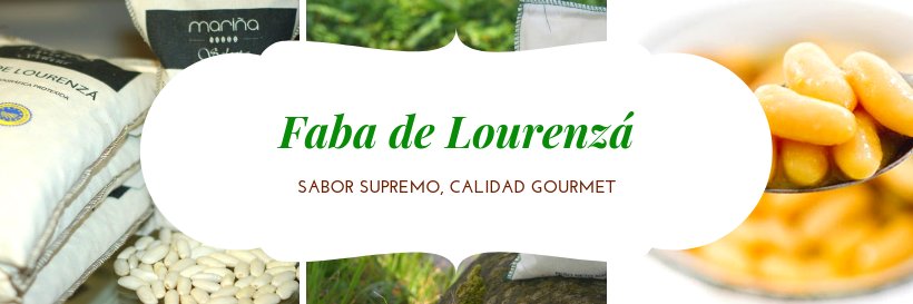 TerrasMarinaSCG's profile banner image