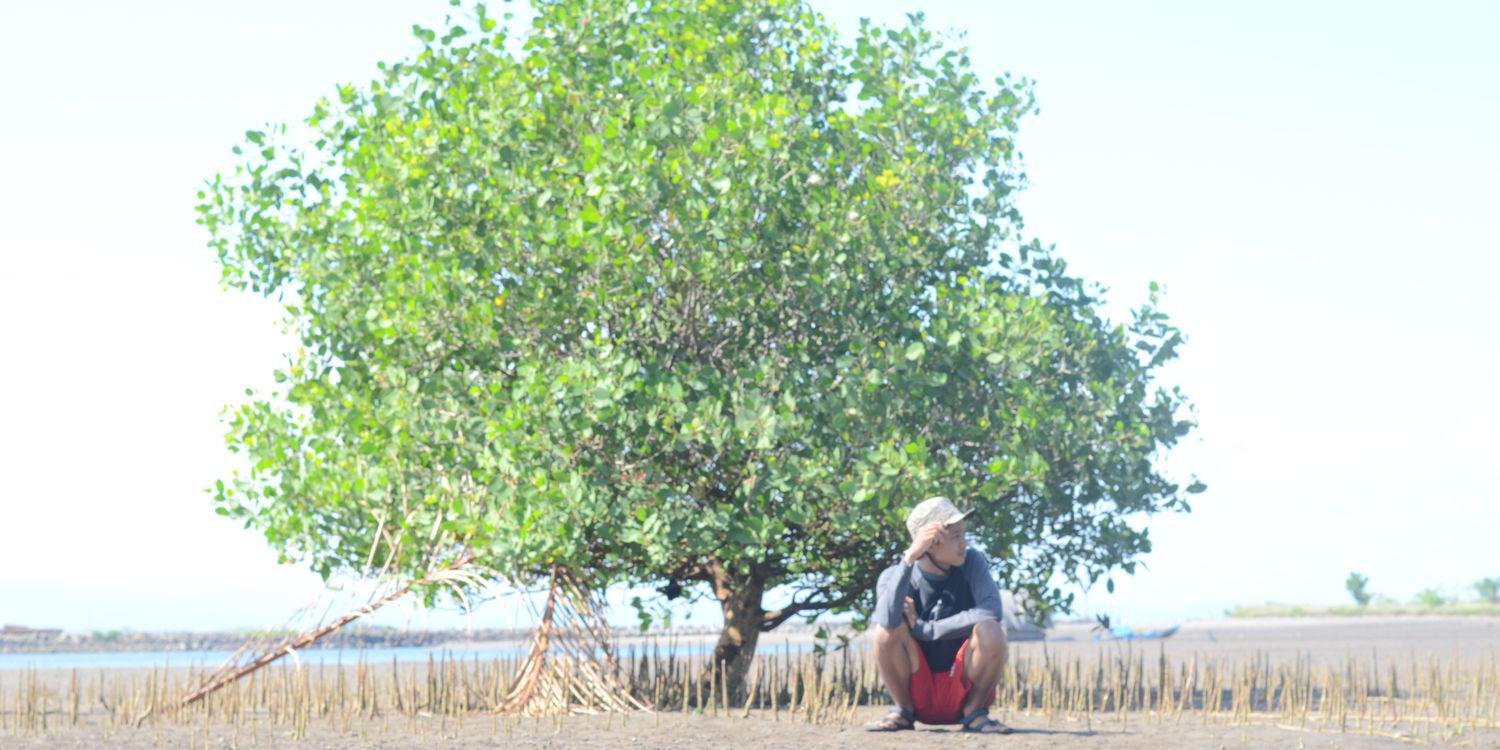 sandikuur's profile banner image