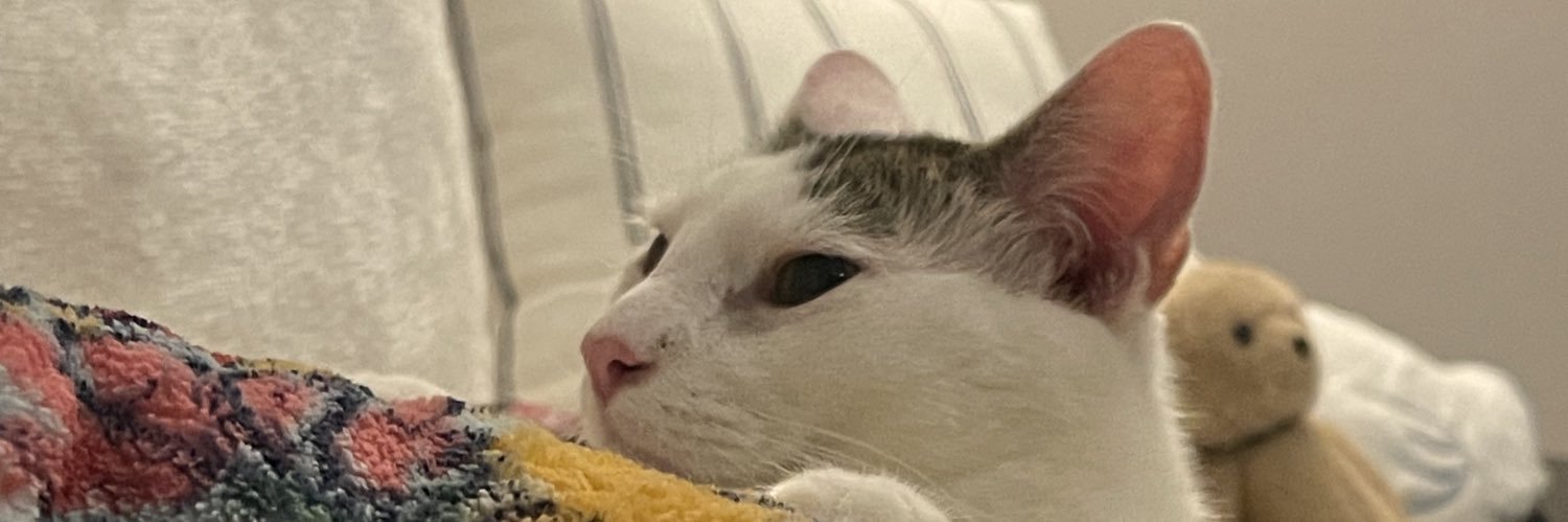 atrinbabaei's profile banner image