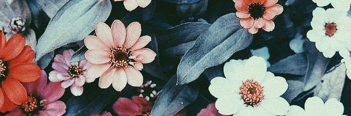 touryourmind's profile banner image