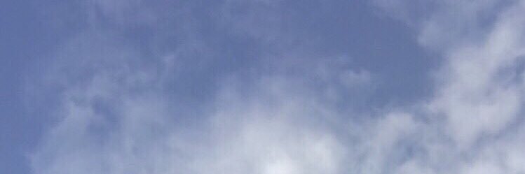 erua banner