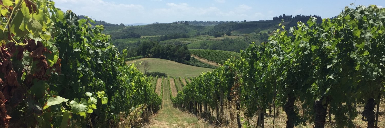 Sydney Wright banner