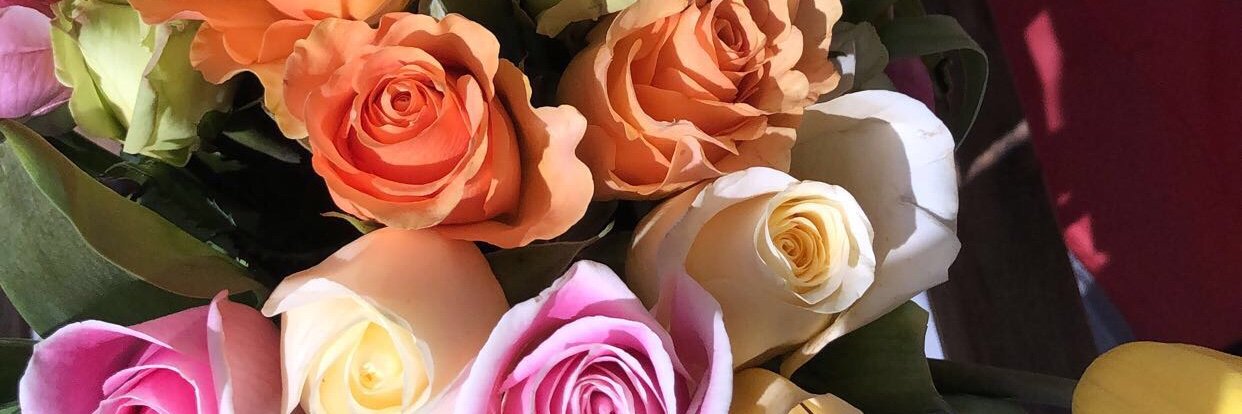 anna_shively's profile banner image