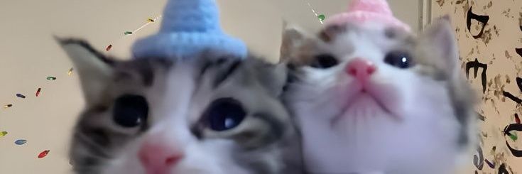 Wolf_King10's profile banner image
