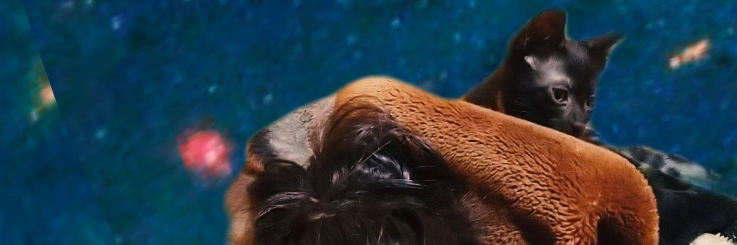 1997Rojass's profile banner image