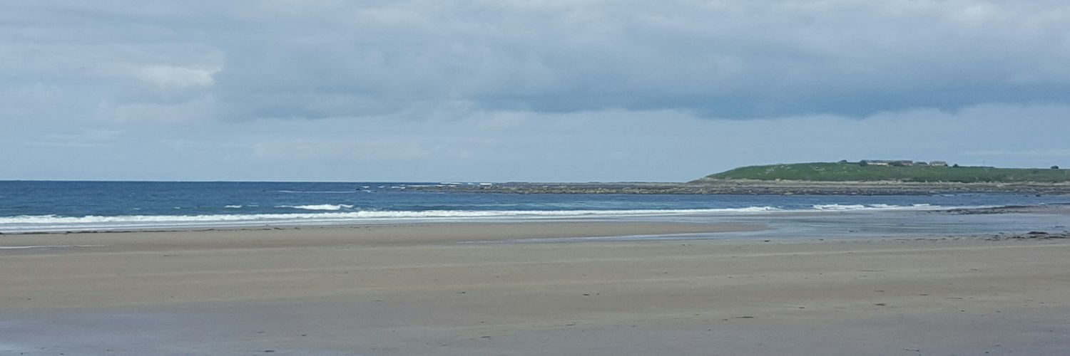 Dr Mary Anne Ryan banner