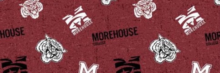 Travis Robinson banner